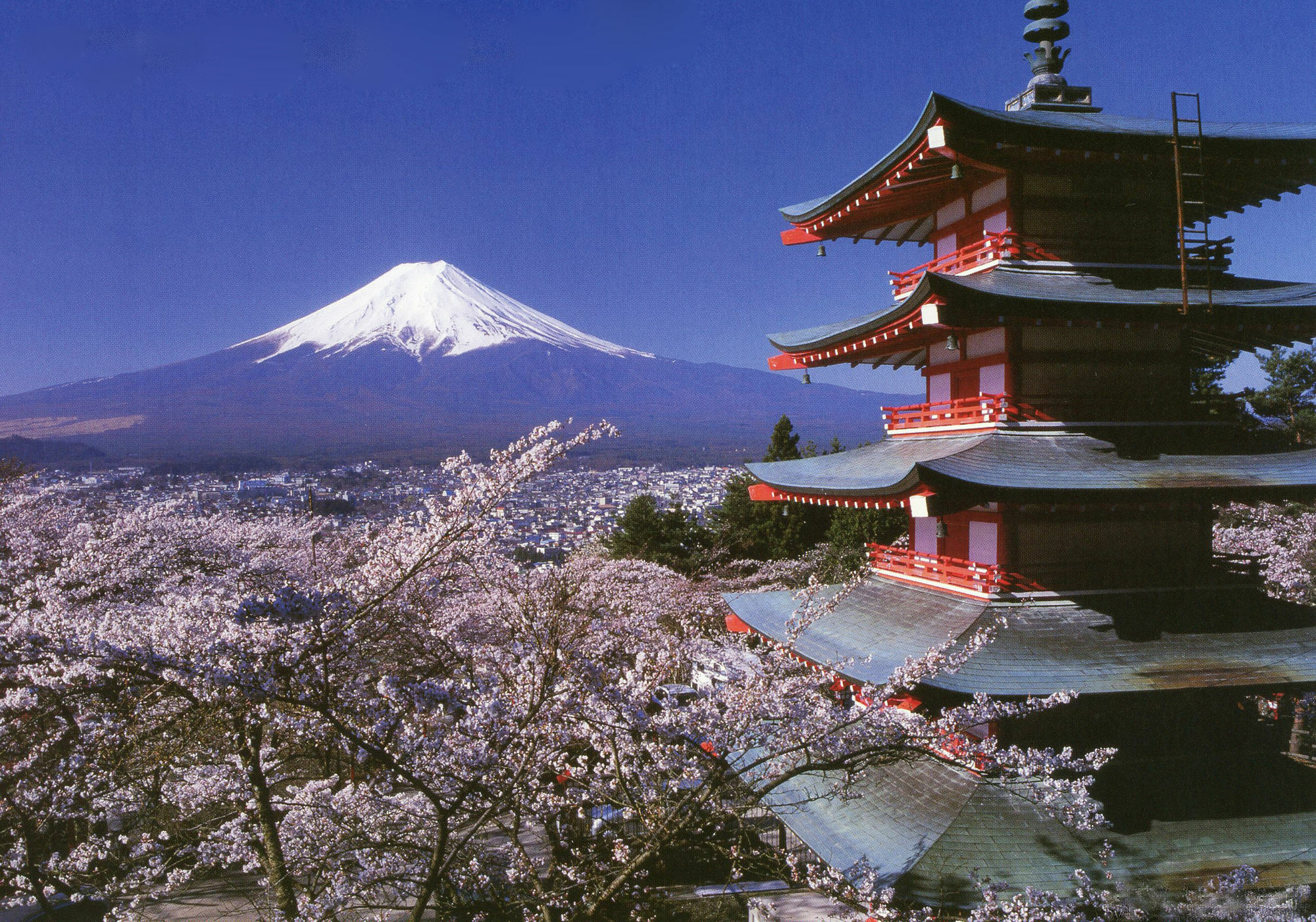 Mt Fuji Hostel Michael'S Fujiyoshida Ngoại thất bức ảnh